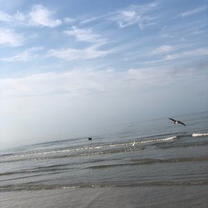 Meet your Posher, Johnna